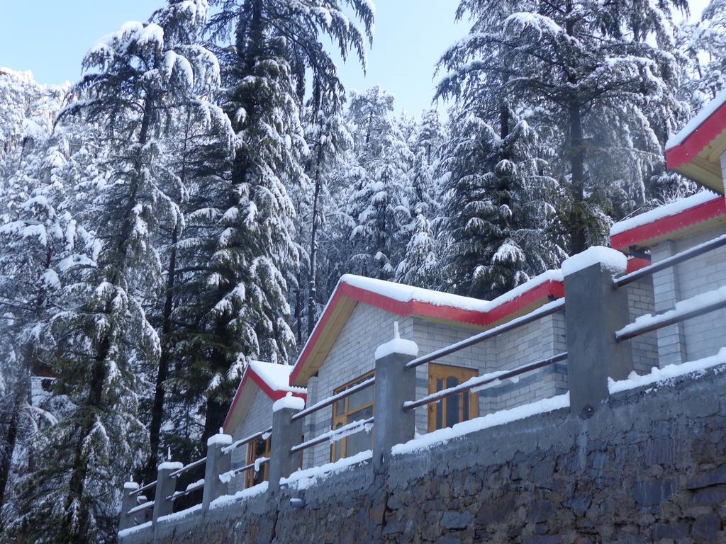 Village Live In Resort Chail Esterno foto